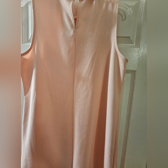 NWT Short Dress. Size 14. Light Blush Color. - Picture 2 of 9